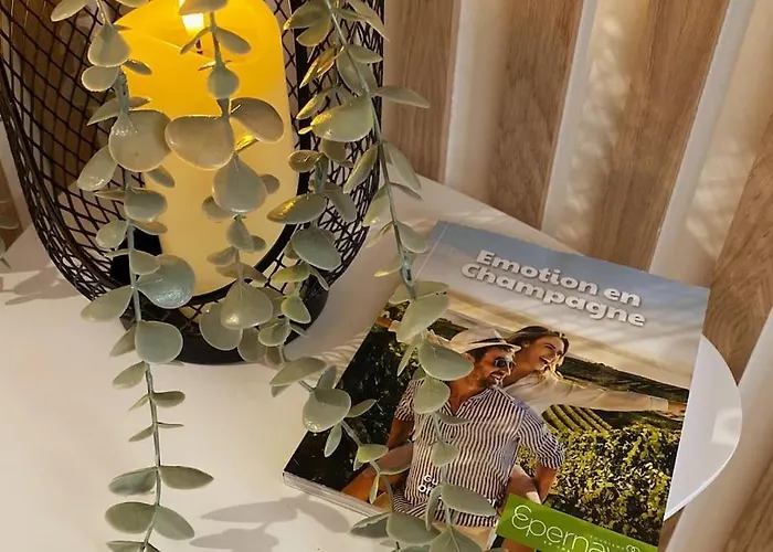 Le Villebois Appartement Épernay